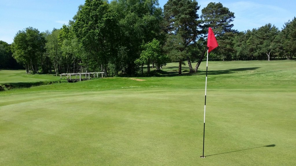 A flag on a golf green with trees behind
